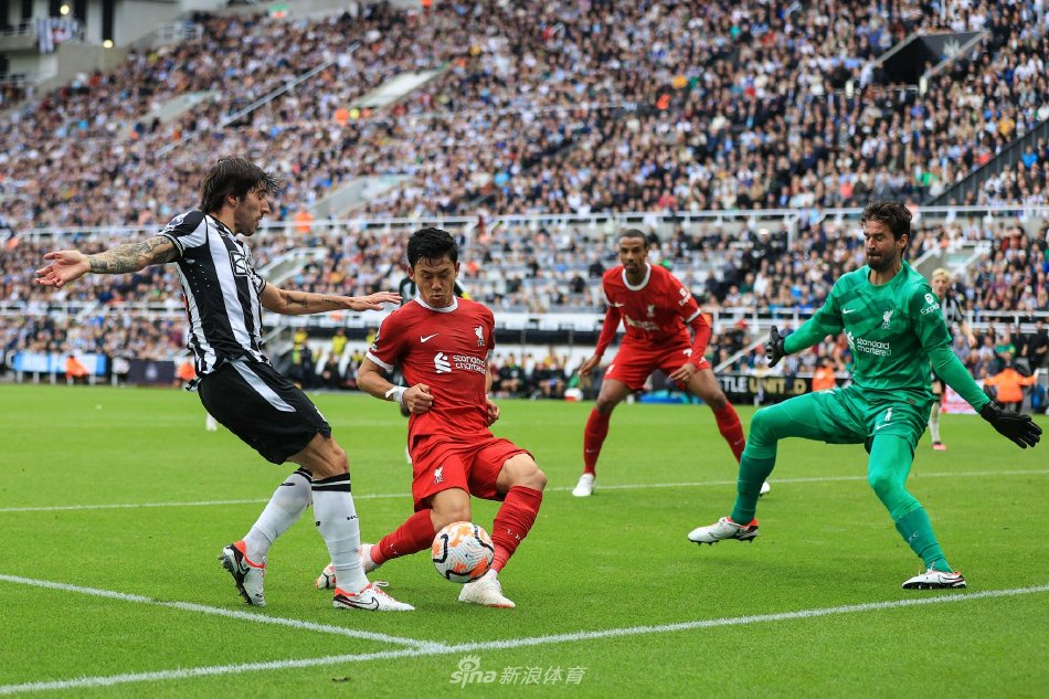 这不仅体现 这不仅体现